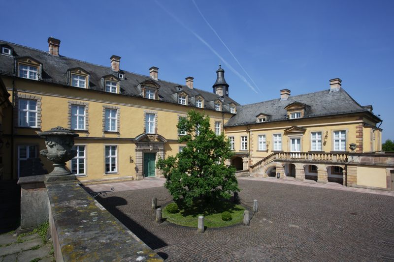 Baum im Innenhof von Schloss Friedrichstein_MA13314